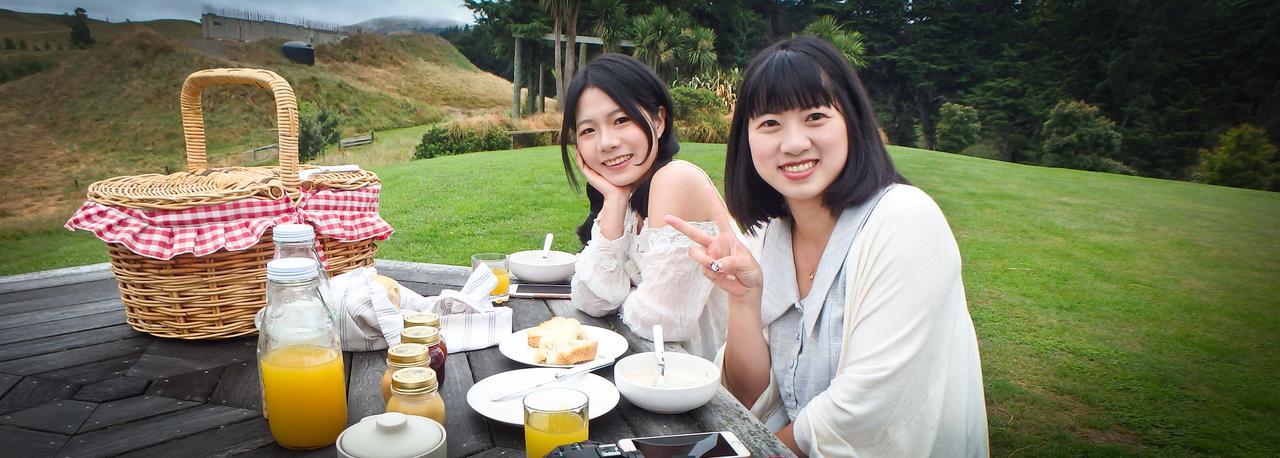 Tree House Lodge Bed & Breakfast Cheviot Экстерьер фото